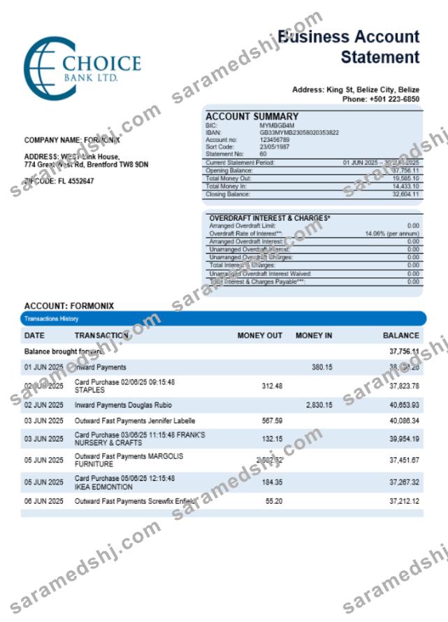Choice Bank business firm statement Word and PDF format